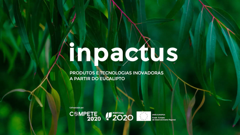 ProjetoInpactus-800x450