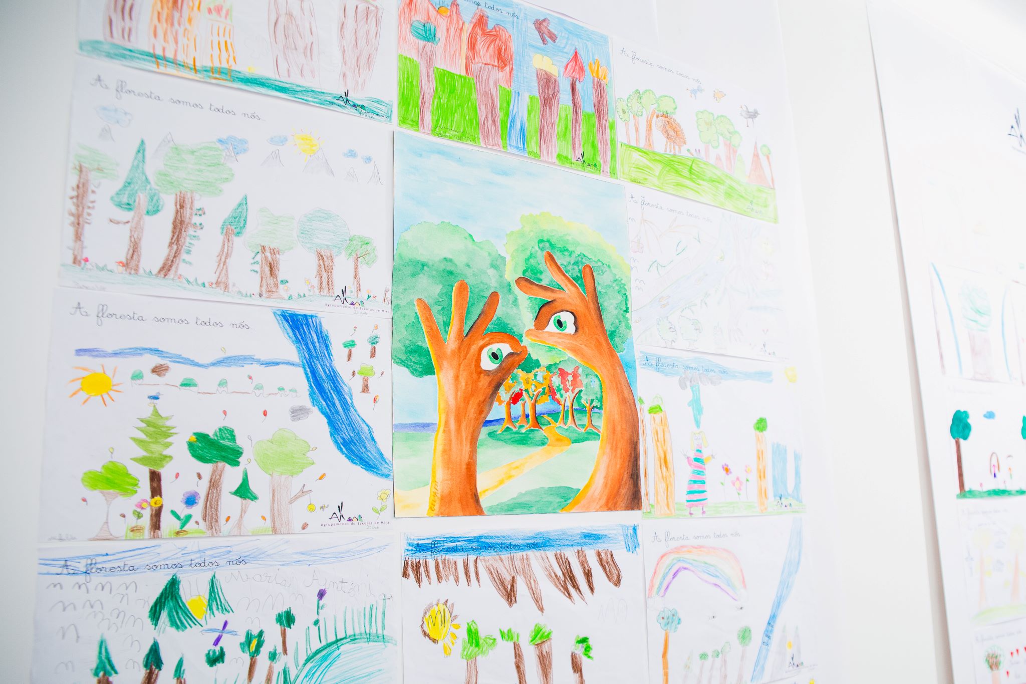 A Floresta do Saber tem uma nova exposição