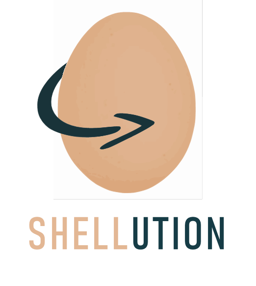 shellution-2.png